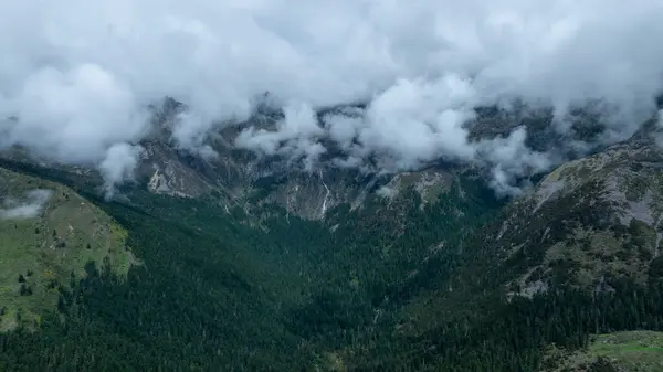 Hermoso Paisaje Montaña Bosque Gran Altitud Niebla —  Fotos de Stock