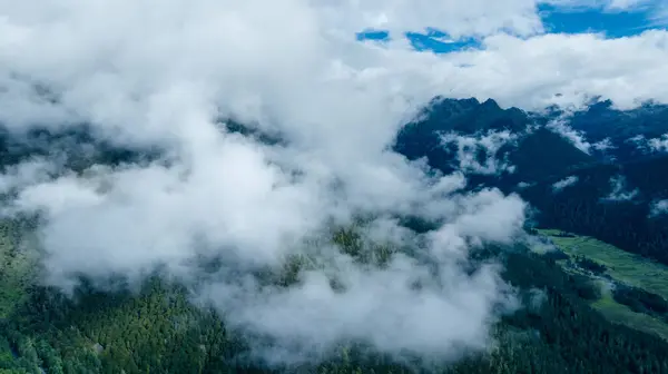 Красивый Высокогорный Лесной Горный Пейзаж Тумане — стоковое фото