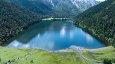 Güzel yüksek irtifa orman gölü dağ manzarası
