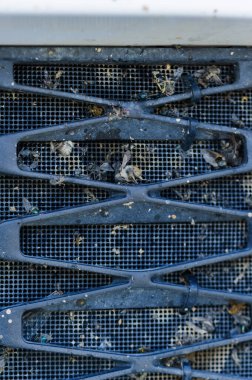 Böcekler ve sinekler kaza yaptı ve radyatörün ızgarasına sıkıştı. 