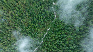 Aerial view of beautiful high altitude forest mountain landscape clipart