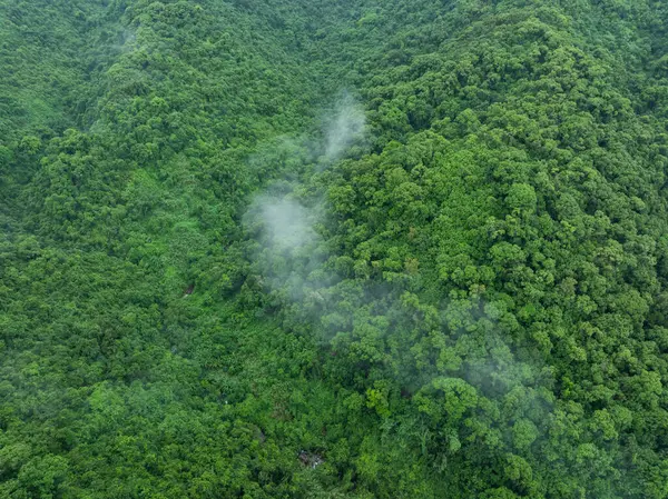Вид Воздуха Красивый Высокогорный Лесной Ландшафт — стоковое фото