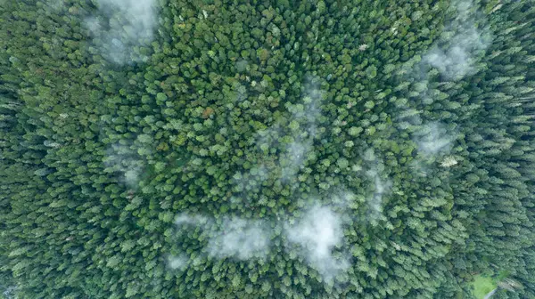 Letecký Pohled Krásnou Vysokou Nadmořskou Výšku Lesní Horské Krajiny Stock Obrázky