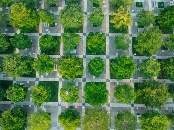 Luchtfoto Van Landschap Shenzhen Stad China Rechtenvrije Stockafbeeldingen