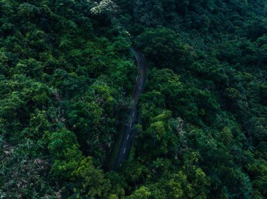 Tropikal orman dağlarında bisiklet izleri