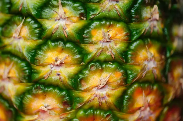 Ananas Hud Struktur Närbild Som Bakgrund Stockbild