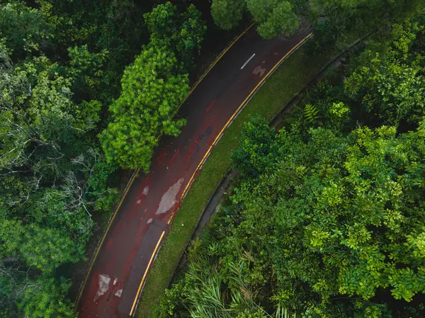 Cycling Path Tropical Forest Mountains lizenzfreie Stockfotos