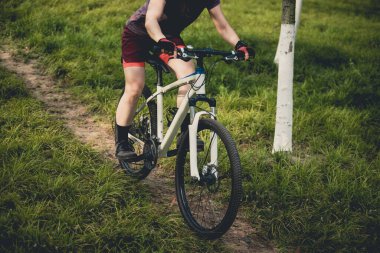 Yaz ormanı yolunda dağ bisikleti