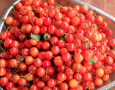 Taze kiraz meyveleri kabın içinde