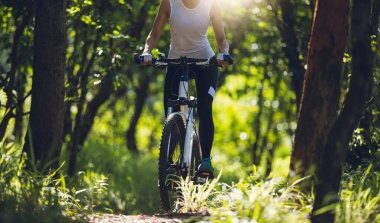 Yaz ormanı yolunda dağ bisikleti
