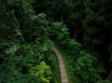 Yeşil dağ ormanlarının hava manzarası