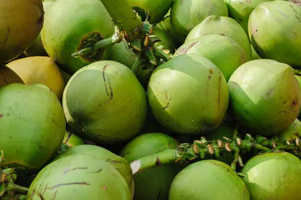 stock image Fresh coconut fruits for sale