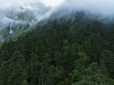 Güzel yüksek irtifa manzarası. Karla kaplı dağ ve orman manzarası.