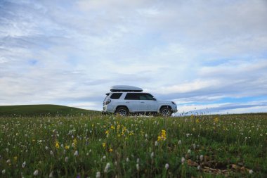 Offroad vagonu mavi gökyüzünün altında çiçek açan çayır dağında