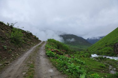 Yüksek irtifa dağlarında patika