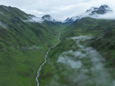 Güzel yüksek irtifa orman manzarası