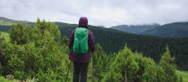 Yürüyüş yapan kadın yüksek rakımlı orman dağlarına bakıyor.