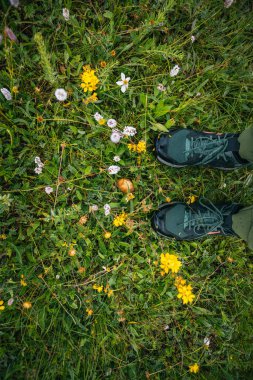 Çiçekli çayırlarda mantar topluyorum.