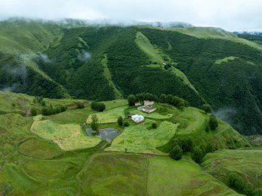 Güzel yüksek irtifa ormanı çayırlık dağ manzarası