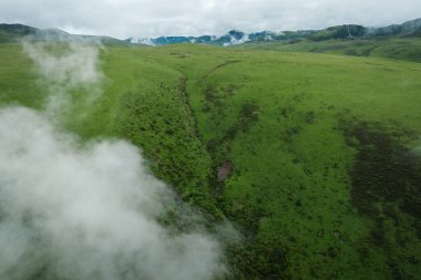 Güzel yüksek irtifa ormanı çayırlık dağ manzarası