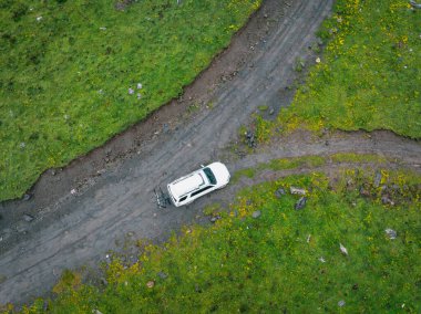 Çatal sağa ya da çatal sola, off-road arabası çiçekli çayırlarda bisiklet taşıyor.