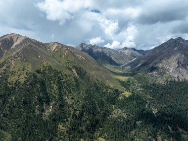 Çin, Sichuan 'da yüksek irtifa çayırları ve orman dağları