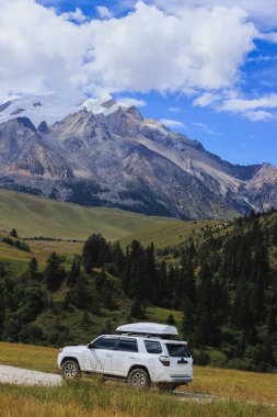 Yüksek rakımlı çayır dağlarında off-road araba sürüyorum.
