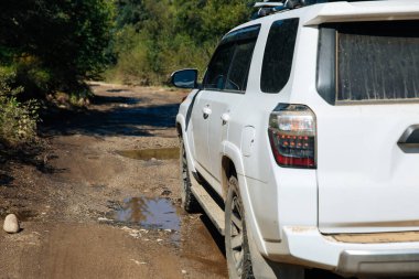 Yüksek irtifa orman dağında off-road araba sürüyorum.
