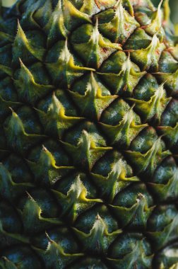 Bahçedeki ağaçta ananas yetişir.