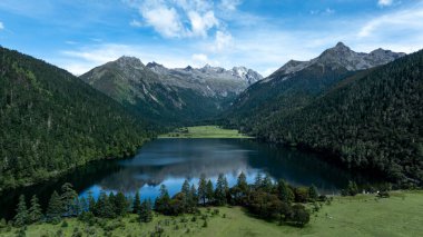 Güzel yüksek irtifa orman gölü dağ manzarası