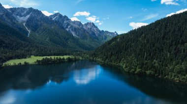 Güzel yüksek irtifa orman gölü dağ manzarası