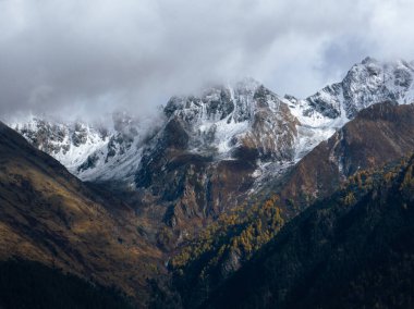 Çin 'deki güzel sonbahar orman manzarası.