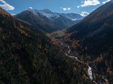 Güzel kar örtülü dağların ve sonbahar ormanlarının havadan görünüşü