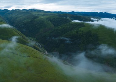 Vadinin yükselen sisli çayırlık dağın tepesindeki manzara.
