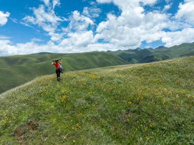 Bir dağ bisikleti taşıyan kadın bisikletçinin hava manzarası güzel çiçek açan çayır zirvesine tırmanıyor.