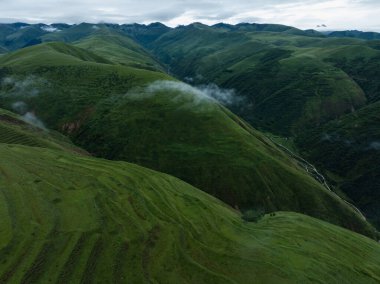 Sis içindeki güzel yüksek irtifa çayırlarının hava manzarası.