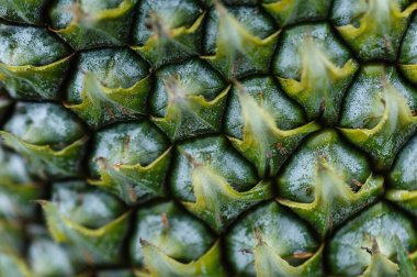 Taze yeşil ananas dokusu 