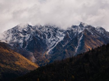 Güzel sonbahar ormanı manzarası ve karlı dağlar.