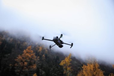 Uçan dron, sonbahar ormanı manzarası ve kar kaplı dağların fotoğrafını çekiyor.