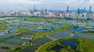 Hong Kong ve Shenzhen siluetleri üzerinde balık havuzları ile kırsal yeşil alanların havadan görünümü