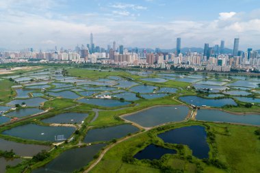 Hong Kong ve Shenzhen siluetleri üzerinde balık havuzları ile kırsal yeşil alanların havadan görünümü