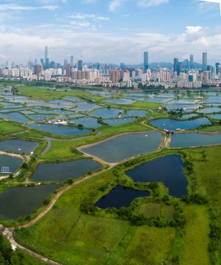 Hong Kong ve Shenzhen siluetleri üzerinde balık havuzları ile kırsal yeşil alanların havadan görünümü