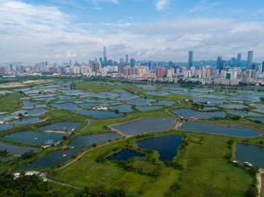 Hong Kong ve Shenzhen siluetleri üzerinde balık havuzları ile kırsal yeşil alanların havadan görünümü