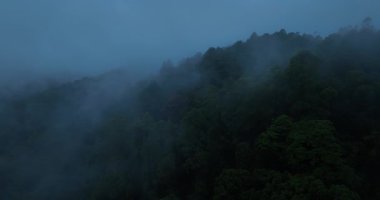 Sisli bir günde güzel dağ manzarası.