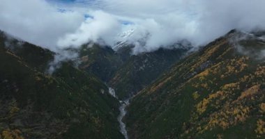 Nehir vadisi, Tibet, Çin 'deki güzel orman manzarası.