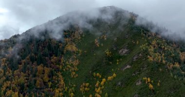 Sisli bir günde güzel dağ manzarası.