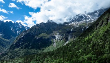 Güzel yüksek irtifa manzarası. Karla kaplı dağlar ve orman manzarası.