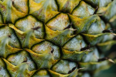 Taze yeşil ananas dokusu 
