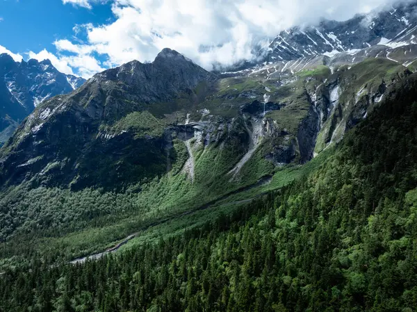Güzel yüksek irtifa manzarası. Karla kaplı dağlar ve orman manzarası.