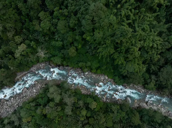 Yalu Zangbu Nehri Vadisi bölgesindeki güzel tropikal orman manzarası, Tibet, Çin 